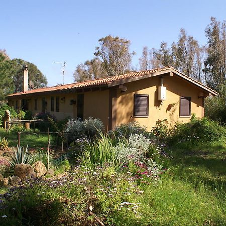 Tharros B&B Сан-Джованни-ди-Синис Экстерьер фото